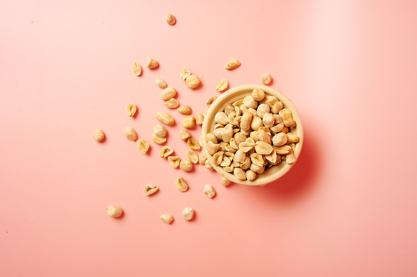 Office Surprise Box S – Bio-Snacks für dein Team | 50€
